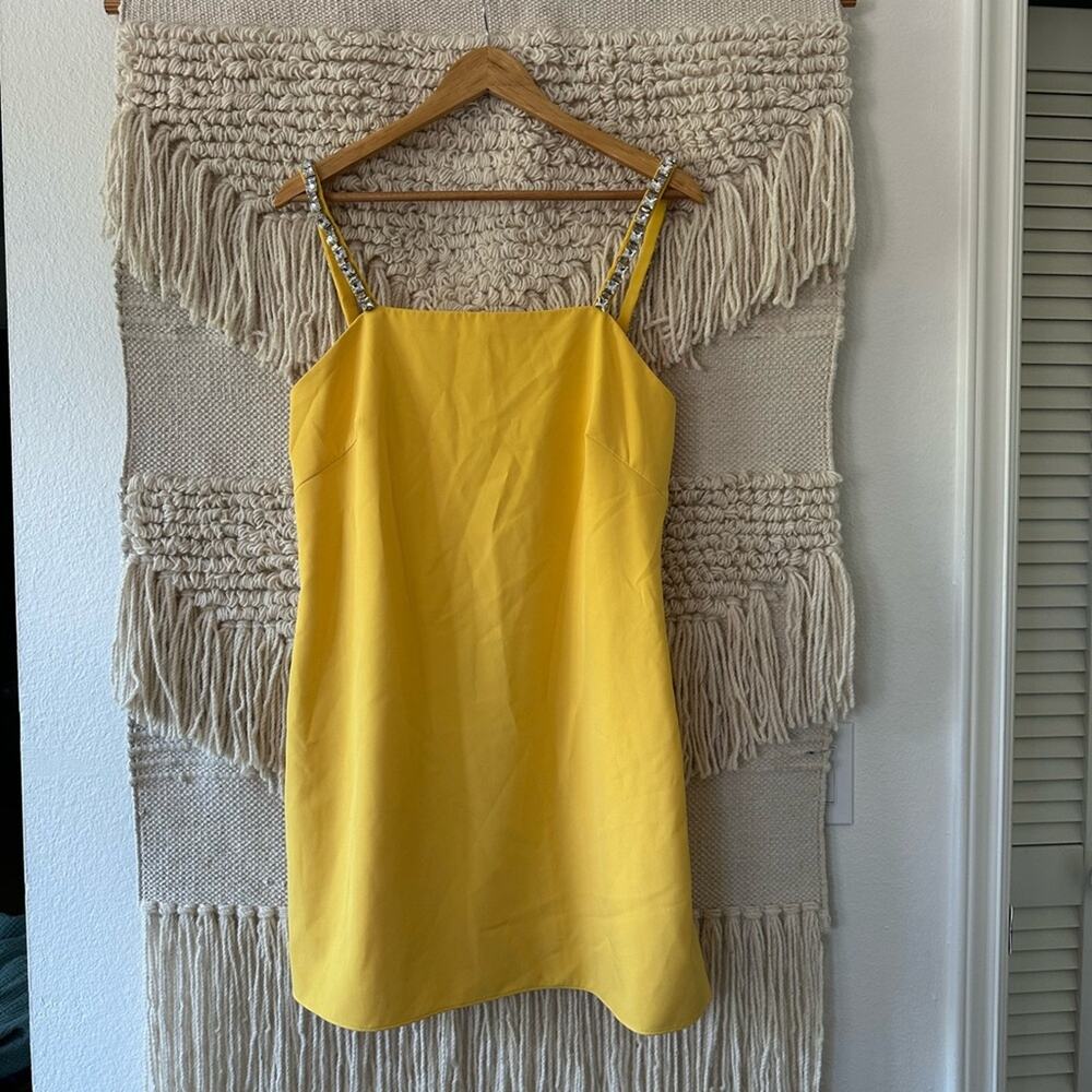 Sachin & Babi Stacia Mini Dress